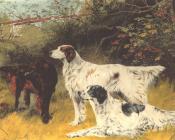 托马斯 布林克斯 : English Setters and Gordon Setters